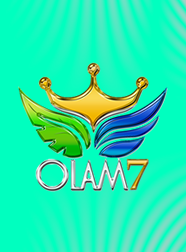 Olam 7